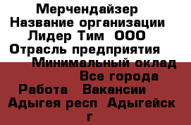 Мерчендайзер › Название организации ­ Лидер Тим, ООО › Отрасль предприятия ­ BTL › Минимальный оклад ­ 17 000 - Все города Работа » Вакансии   . Адыгея респ.,Адыгейск г.